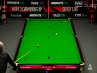 24-25����˹ŵ���������ʸ���Day9 �������ء�˹����8-10����ͯ���ڶ��׶Σ� 20250416