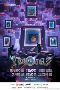 YES OR NO������