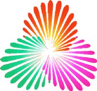 ȫ�˻�Ů���ʸ��� B��-����79.85�㽭20250813