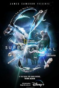 ����������������