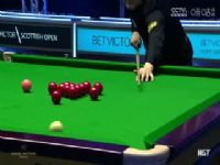 2023˹ŵ���ո��������� ��ɭ���ϵ����1-4������ 20231212�����գ�