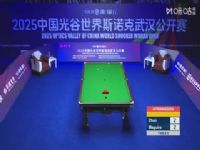 2025˹ŵ���人������32��16 ˹�ٷҡ�������5-4����ͯ 20250826