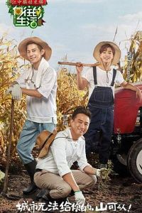 �����������һ��