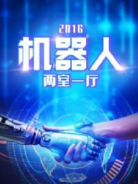 ����������һ��2016